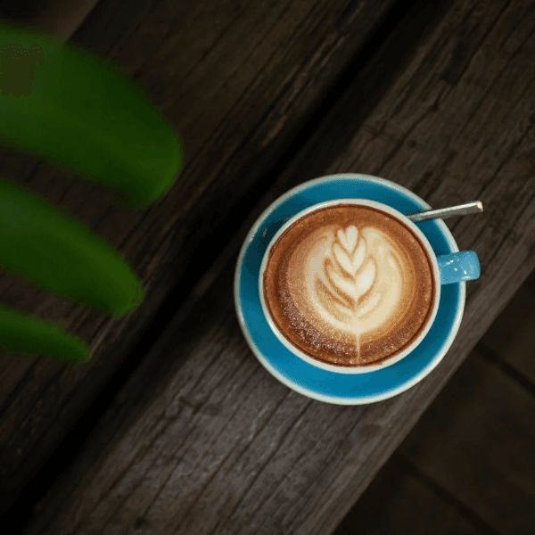 Cafe Latte