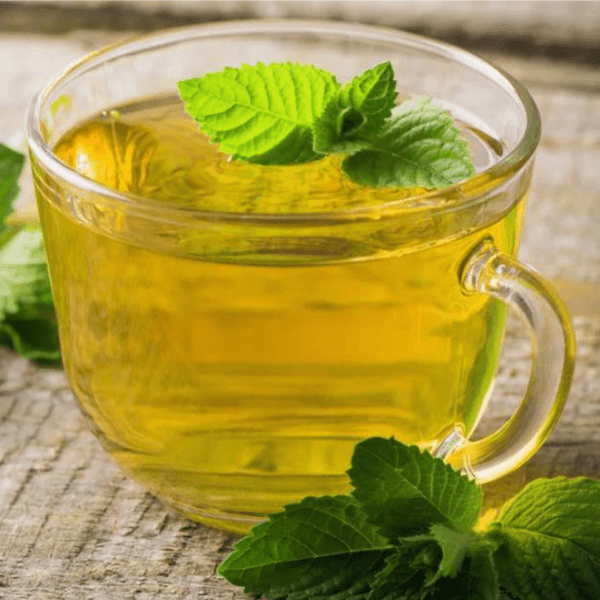 GREEN TEA SPEARMINT